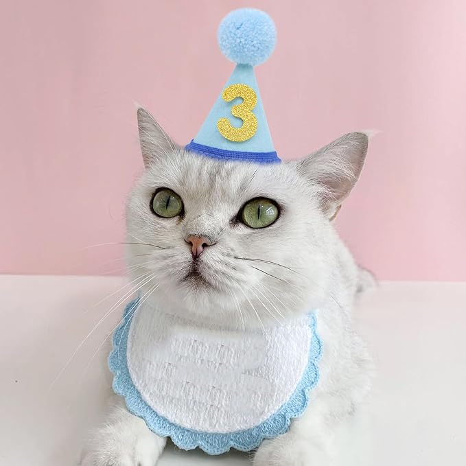 Pet Birthday Hat with Interchangeable Numbers 1-10 | Adjustable Pet Party Cone Hat for Dogs & Cats | Puppy Birthday Photo Props for 1st to 10th Birthday Celebrations (Blue Birthday Pet Hat)