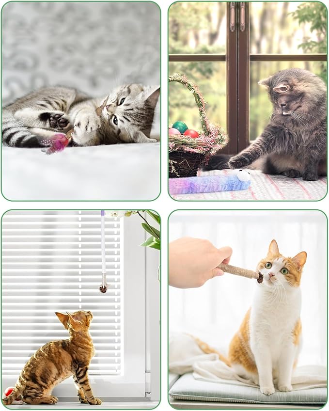 Bissap 20 PCS Silvervine Chew Sticks for Cats, Catnip Chew Ropes Cat Toys for Indoor Cat Kitten Teeth Grinding Interactive Feather Toys for Aggressive Chewers Dental Care