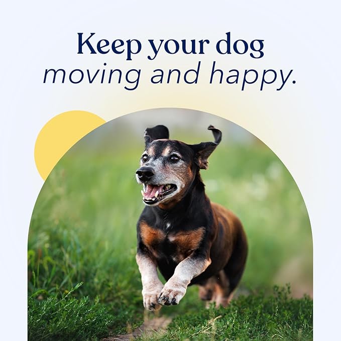 Honest Paws Glucosamine for Dogs – Joint & Mobility Supplement Powder with Green Lipped Mussel, Fish Oil & MSM – Supports Hip & Joint Health, Support Stiffness, Dog Supplies