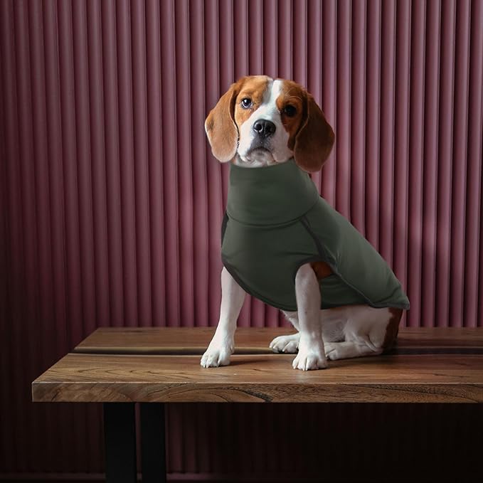 ROZKITCH Dog Winter Coat Soft Pullover Pajamas, Pet Windproof Warm Cold Weather Jacket Vest Cozy Jumpsuit Apparel Outfit Clothes for Walking Hiking Travel Sleep Green M