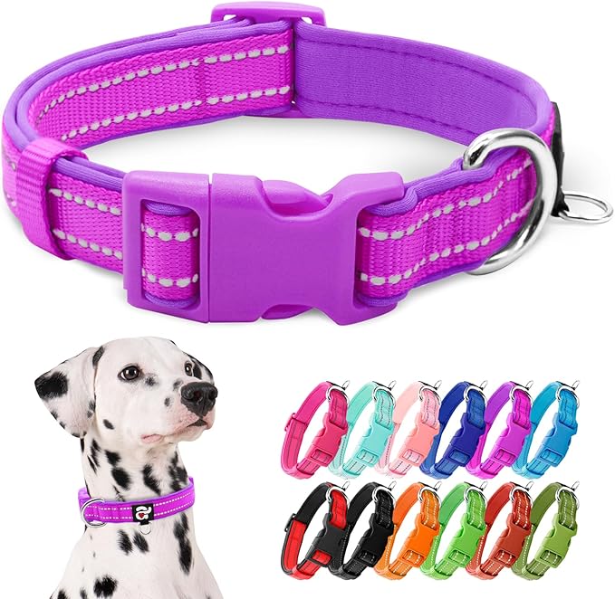 azuza Reflective Dog Collar,Soft Neoprene Padded Pet Collar with ID Tag Ring,Adjustable for Large Dogs,Purple,L