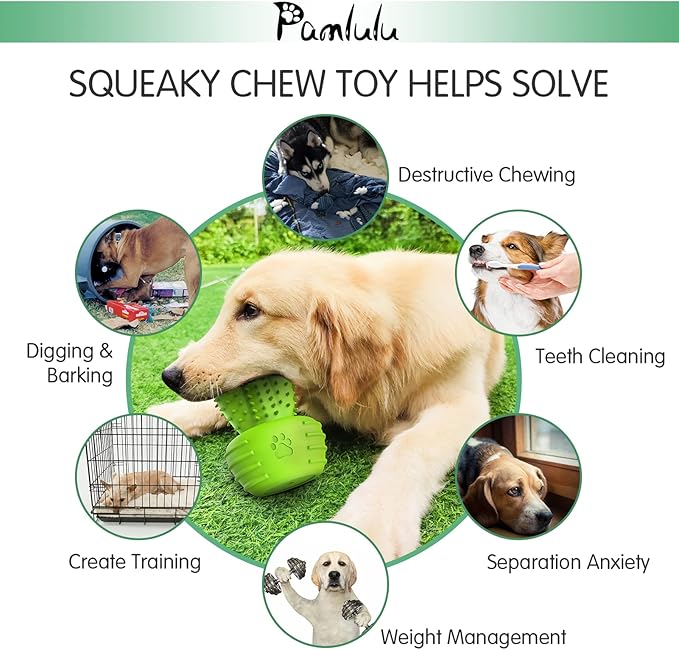 Dog Chew Toys & Teeth Cleaning Brush - Dental for Small, Medium & Large Dogs, Rubber Squeaky Toys for Aggressive Chewers, Cactus Tough Toys