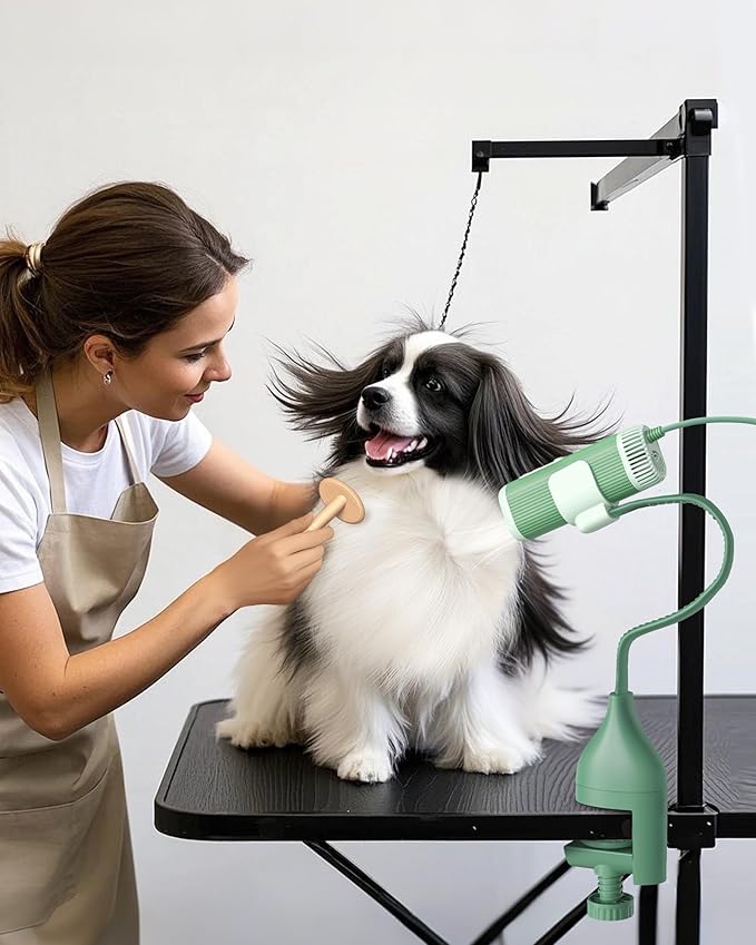 L&W BROS. 2-in-1 Pet Hair Dryer with Clamp Stand – Wearable & Hands Free Dog Grooming Dryer, 950W Low Noise Blower with 5 Heat & 3 Speed Settings, for Small to Medium Pets (Green)