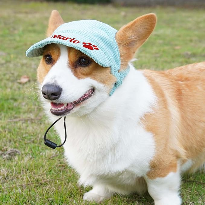 Custom Dog Hat with Embroidered Name Personalized Hats for Dogs Custom Dog Baseball Cap with Ear Holes Small Medium Large Dogs Cat Sun Beach Visor Adjustable Bucket Hats