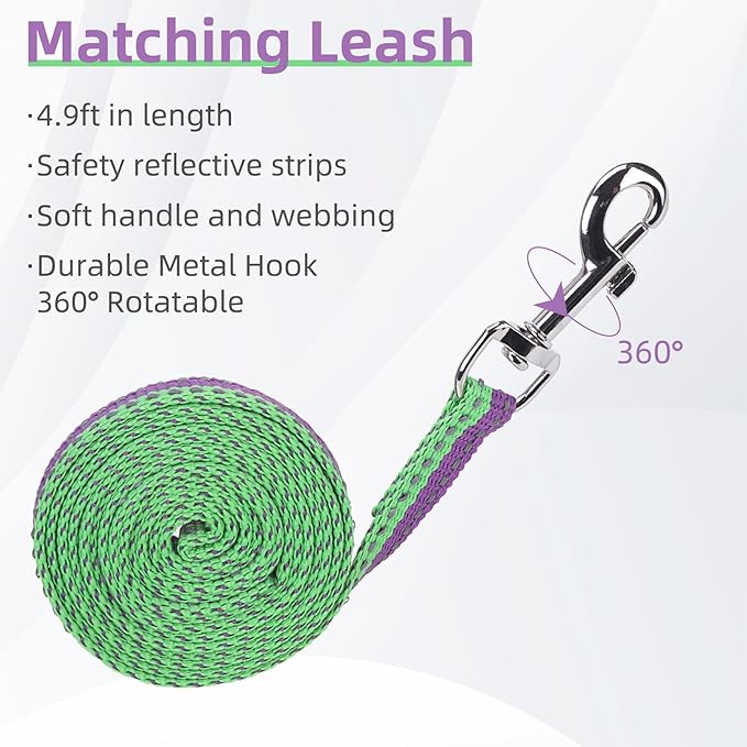 PUPTECK Adjustable Cat Harness and Leash Set Escape Proof Kitten Strap Collar for Walking Travel, Purple Green