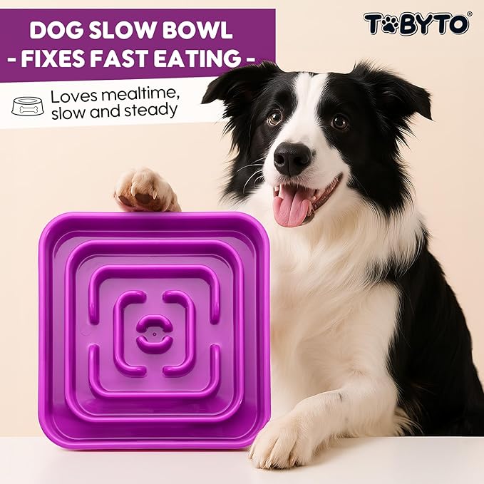 TOBYTO Slow Feeder Dog Bowls for Large Medium Breed, Anti-Choking Pet Slow Feeding Food Bowl, Non Slip Maze Puzzle Dog Feeder Bowl Prevent Bloating,Purple