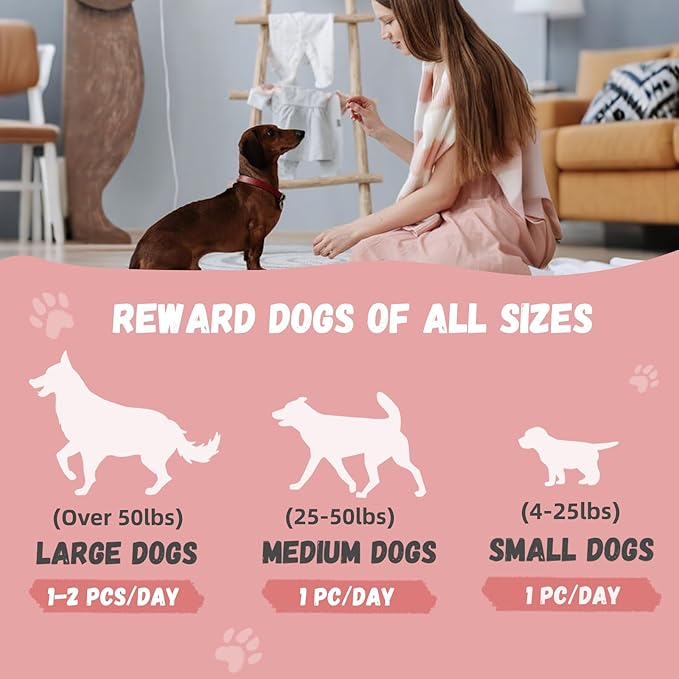 6-in-1 Kabobs Dog Treats, Multi-Flavor Jerky Treats Made with Chicken, Duck, Salmon, Beef, and Rabbit on Rawhide Sticks, Healthy Long Lasting Dog Chews for Small Medium Large Dogs, 10.6 oz