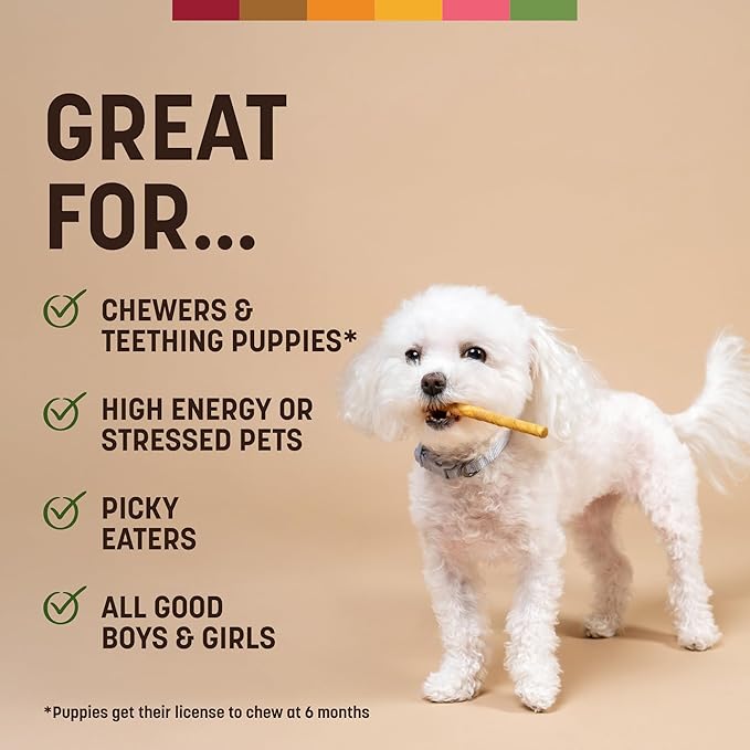 Earth Animal No Hide Stix - Long Lasting Rawhide Free Small Dog Chews Sticks, Pork - 20 Count Value Pack