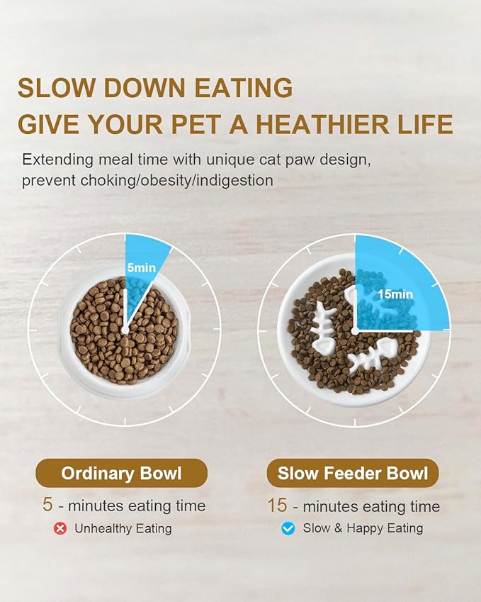 Ceramic Cat Dog Feeder, Slow Feed Bowl with Stand, 2.5'' High, 5.2'' Wide, Whisker Friendly, Easy to Clean, for Cats and Small Dogs