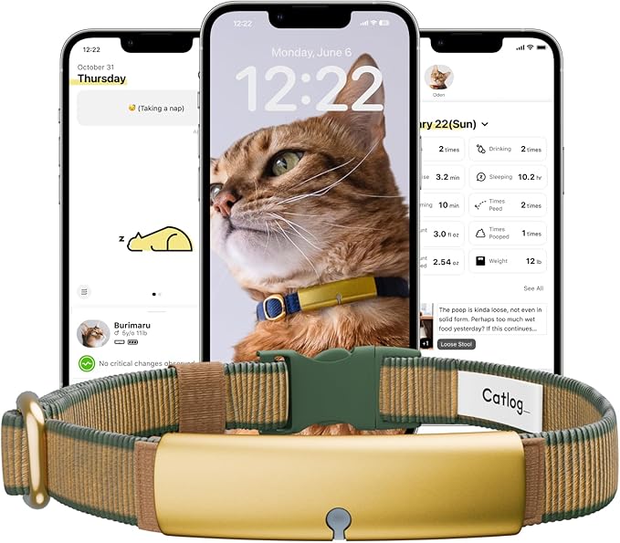 Health Tracker for Cats - Smart Cat Collar with Safety Breakaway Buckle for Indoor Cats, Wellness Alerts, Real-time Monitoring (Forest,M)