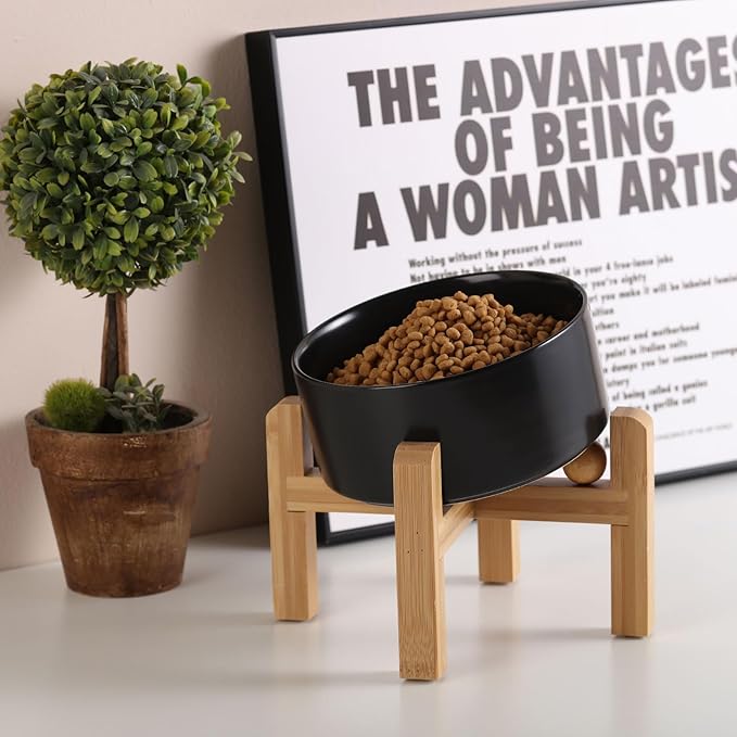 Petygooing Black Elevated/Raised 15°Slanted Ceramic Dog Bowl for Small and Medium Breeds, Tilted Anti Slip Pet Feeding Bowl,Food Water Dish with Stand for Cats and Dogs (28 OZ/3.6 Cups)