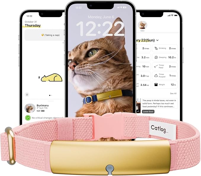 Health Tracker for Cats - Smart Cat Collar with Safety Breakaway Buckle for Indoor Cats, Wellness Alerts, Real-time Monitoring (Sakura, XL)