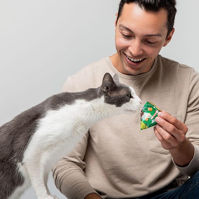 INABA Churu Fun Bites for Cats, Soft & Chewy Cat Treats with Taurine, 0.42 Ounces Each Tetra, 18 Tetras (3 per Bag), Tuna Recipe