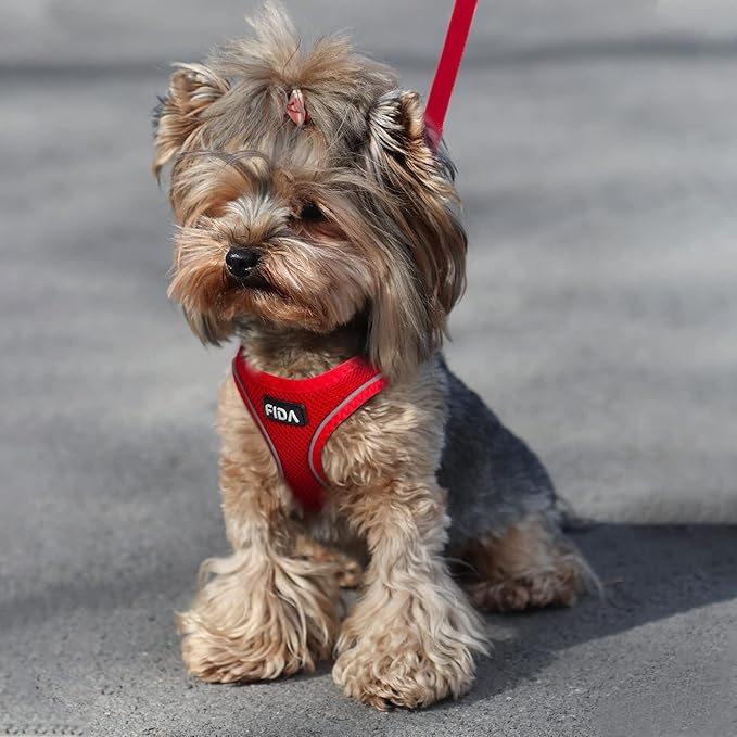 Fida Comfy Dog Harness with Leash, Cat Vest Harness Escape Proof, Breathable Lightweight Soft Mesh, Adjustable Reflective Step-in Harness for Puppy Toy Breeds & Extra-Small Pet (XXS, Red)