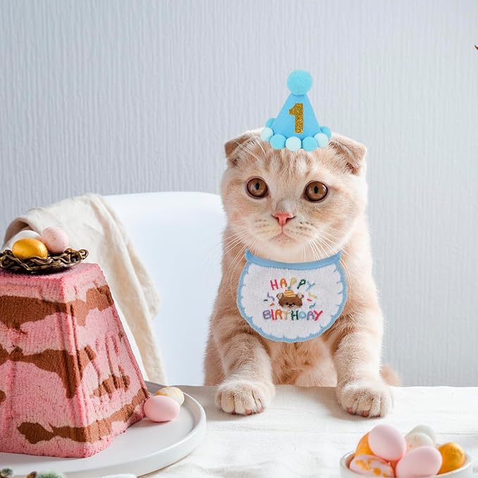PTDECOR Cat Birthday Party Supplies, Blue Hat with Numbers Cat Bandana Pet Decorations for Kitten Birthday Outfits (Blue)