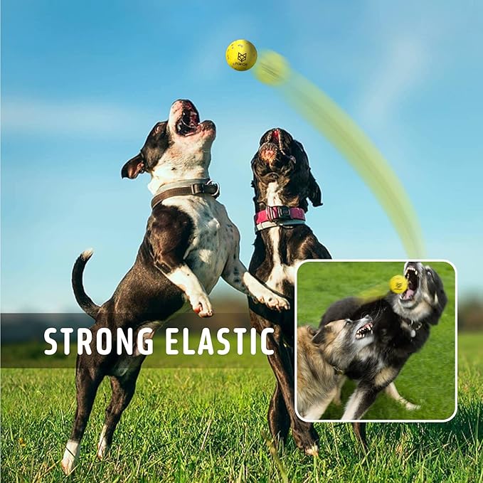 FOFOS Dog Balls Chew Toys Tennis Ball for Aggressive Chewers Teething Molar Toys Water Toy Interactive Fetch Balls Gift Set for Large Medium Dog and Puppies (4 Pack, 2.75 inch)