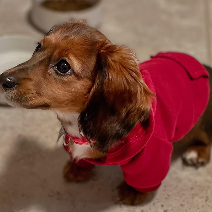 Jecikelon Winter Dog Hoodie Sweatshirts with Pockets Warm Dog Clothes for Small Dogs Chihuahua Coat Clothing Puppy Cat Custume (Wine red, Medium)