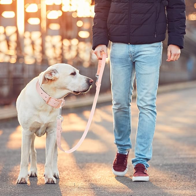 Wisedog Waterproof Dog Leash – 5ft/6ft Adjustable with 2 Hooks & Traffic Handle, Easy to Clean Double Clip Leash for Small, Medium, Large Dogs (Gossamer Pink,L)