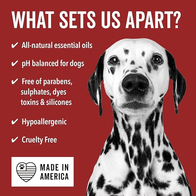 Pride and Groom DogDays Detangling Coat Spray for All Dogs | Conditioner & Detangler Spray for Shiny, Tangle-Free Fur | Hydrating & Repairing Formula with Fresh Scent | Made in USA – 16 fl oz