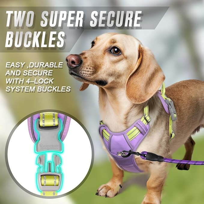 BARKBAY No Pull Dog Harness Front Clip Heavy Duty Reflective Easy Control Handle for Large Dog Walking(Violet Purple & Sunlight,S)