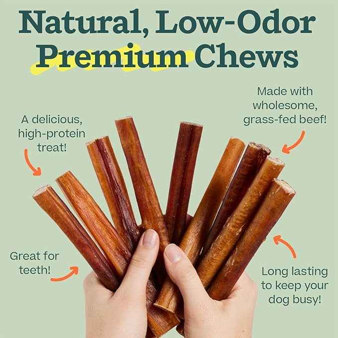 WOOF Bully Sticks Dog Treats - Chew Sticks for Dogs - Long-Lasting Dog Chew Treats - Made with Free-Range, Grass-Fed Beef- 12" Sticks - 25pk