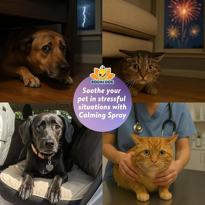 Bodhi Dog Natural Calming Spray for Dogs - Anxiety Relief for Grooming, Travel, Fireworks & More - Gentle Care for Pets - Made in USA - Calming Lavender Scent (8 Fl Oz)