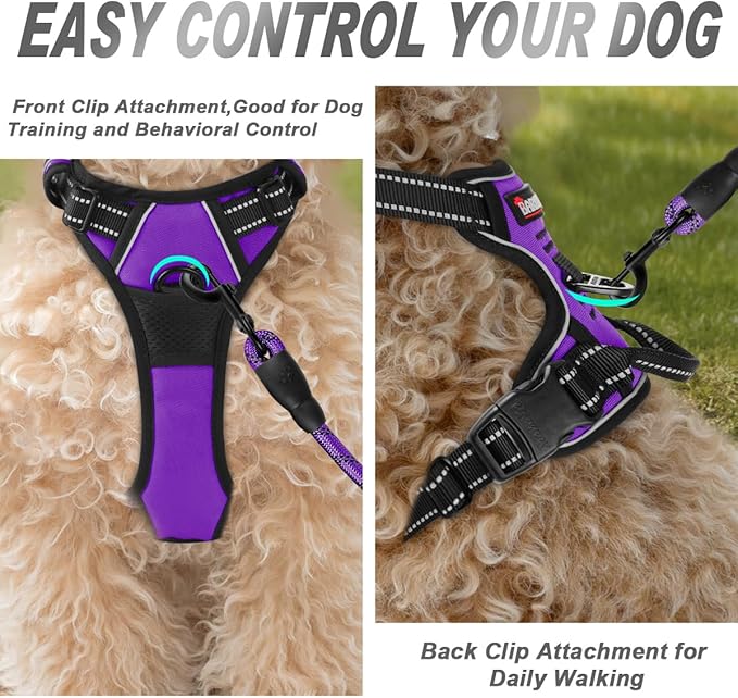 BARKBAY No Pull Dog Harness Front Clip Heavy Duty Reflective Easy Control Handle for Large Dog Walking(Purple,XS)