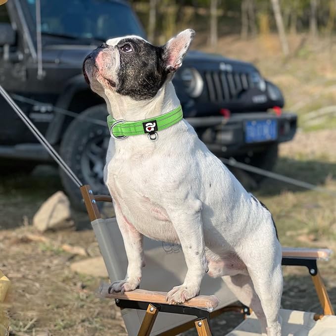 azuza Reflective Dog Collar Green Soft Neoprene Padded Pet Collar with ID Tag Ring, Adjustable for Medium Dogs,Green,M