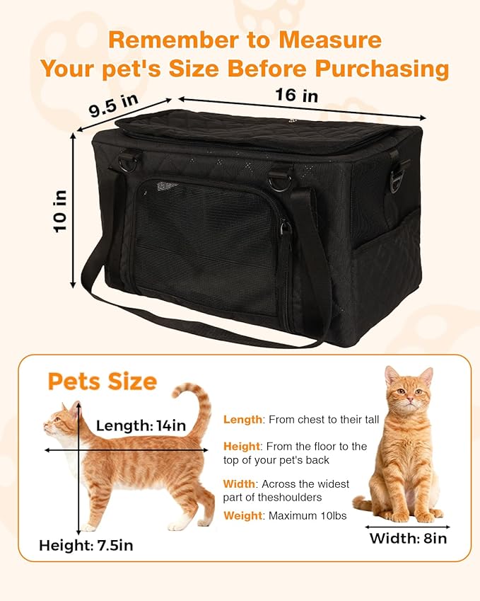 PETUX Airline Approved Cat Carrier for Small Cat - 16" x 10" x 9.5", Double Anti-Escape, Collapsible, Underseat, Under 10 lb with Removable Snack Bag, Safety Buckle, Leash - Ideal for Travel - Black