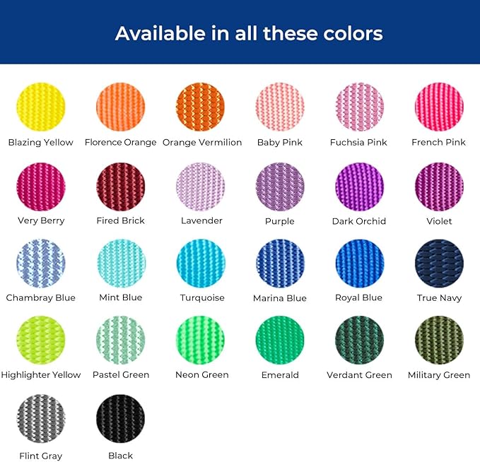 Blueberry Pet Essentials Matching Dog Collar | Adjustable Classic Solid Color Nylon Dog Collars for Dogs | Orange Vermilion Dog Collar for Dogs