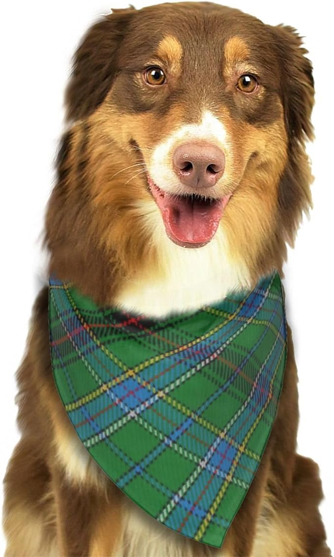 Scots Style Tartan Plaid Teal Dog Bandana Scarf Triangle Bibs Pet Accessories Cat Kerchief
