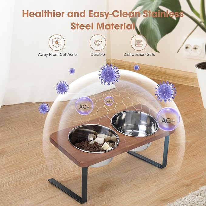 Elevated Cat Bowls, 15° Tilted Raised Cat Food Bowls Wood Pet with Stand Anti Vomiting 2 Stainless Steel for Cats and Puppy