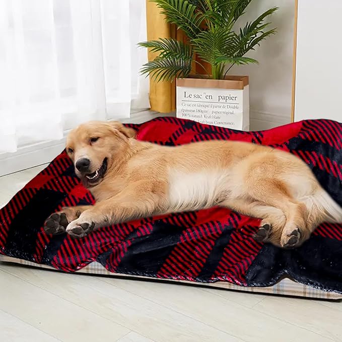 Premium Soft Dog Blanket Washable,43"x30" Cat Blanket for Indoor Cats Large Medium Small Dog Gifts Puppy Essentials (Red/Black)