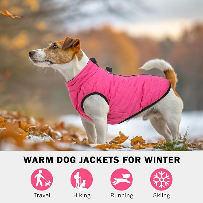 SCENEREAL Dog Winter Coat - Warm Dog Jacket with Built-in Harness for Small & Medium Dogs, Waterproof Cold Weather Coat with Zipper, Fleece Puffer Vest Windproof Snow Clothes for Puppy & Pet