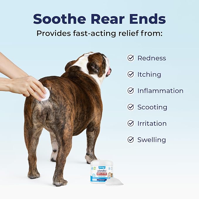 Vetnique Glandex Medicated Dog Butt Wipes or Spray for Dog Scooting - Topical Anti Itch Skin Relief for Soothing Inflamed Anal Glands in Dogs & Cats - Fast Acting Formula 50ct (50ct Wipes)