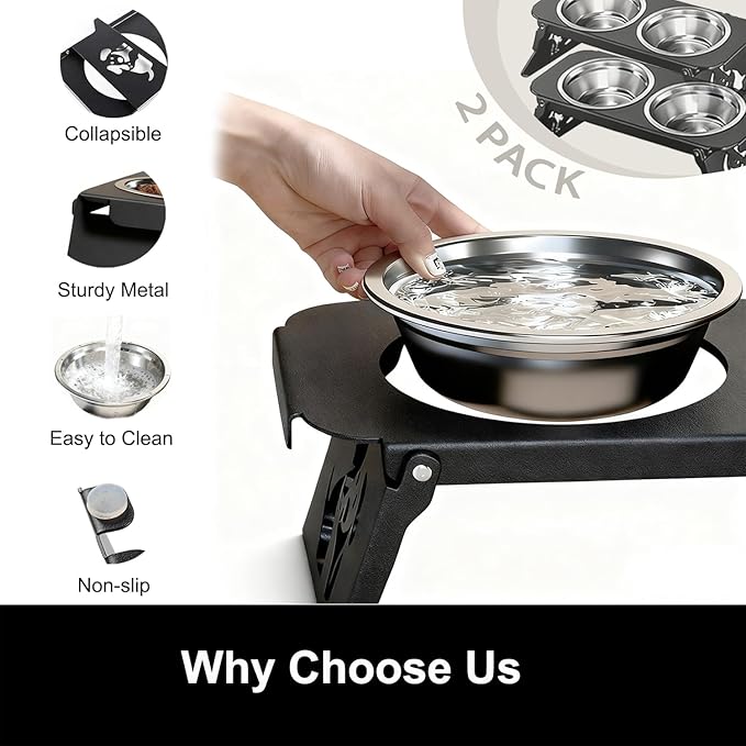 2 Set Elevated Cat Bowls, 4 Stainless Steel Bowls with Cute Raised Metal Stand for Food&Water, Zero Assembly, 12°Tilted Anti-Vomiting Cat Dishes for Indoor Cats/Multiple Kitten/Puppy