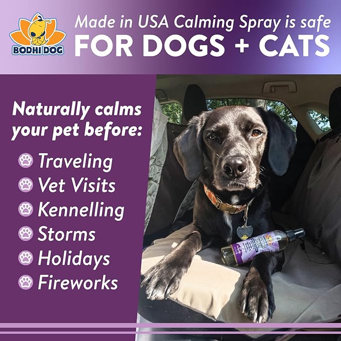 Bodhi Dog Natural Calming Spray for Dogs - Anxiety Relief for Grooming, Travel, Fireworks & More - Gentle Care for Pets - Made in USA - Calming Lavender Scent (8 Fl Oz)