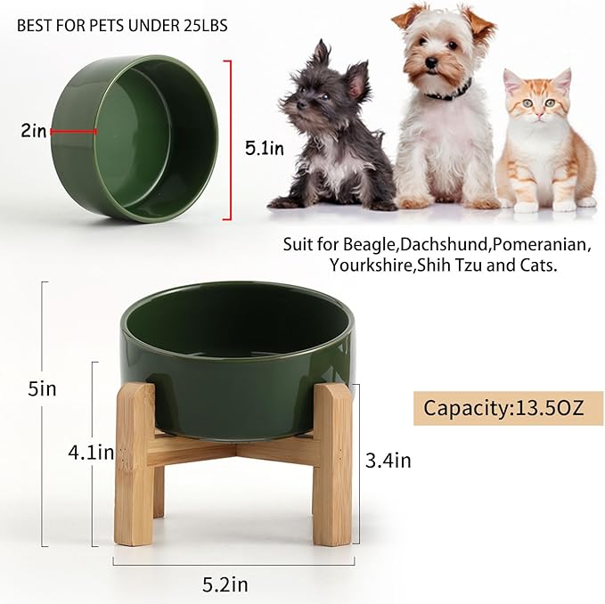 Petygooing Raised/Elevated 15°Slanted Ceramic Dog Bowl for Small Breeds,Tilted Anti Slip Pet Feeding Bowl,Food Water Dish with Stand for Cats and Small Dogs Puppy 13.5 OZ (5.1In / 1.7 Cups)Rust Green