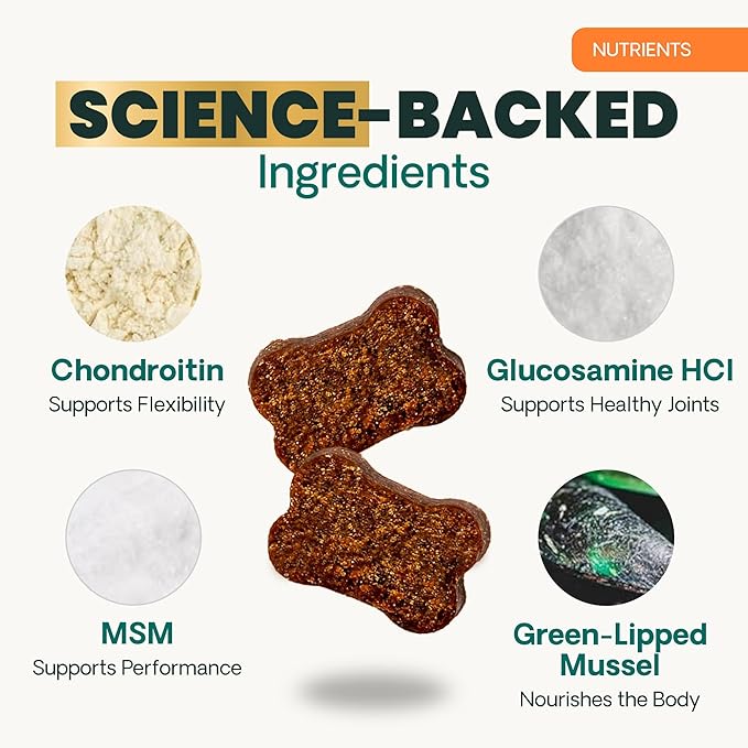 VetriScience Extra Strength Healthy Hip & Joint Chews, GlycoFlex Glucosamine and Green-Lipped Mussel Joint Support Supplement for Small Breed Dogs, Soothe Joint Discomfort, Chicken, 60 Count