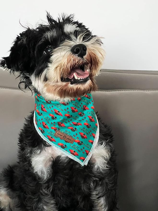Lionet Paws Thanksgiving Dog Bandana Washable Cotton Handkerchief Scarf Triangle Bandana for Small Medium Large Dogs Girl Boy