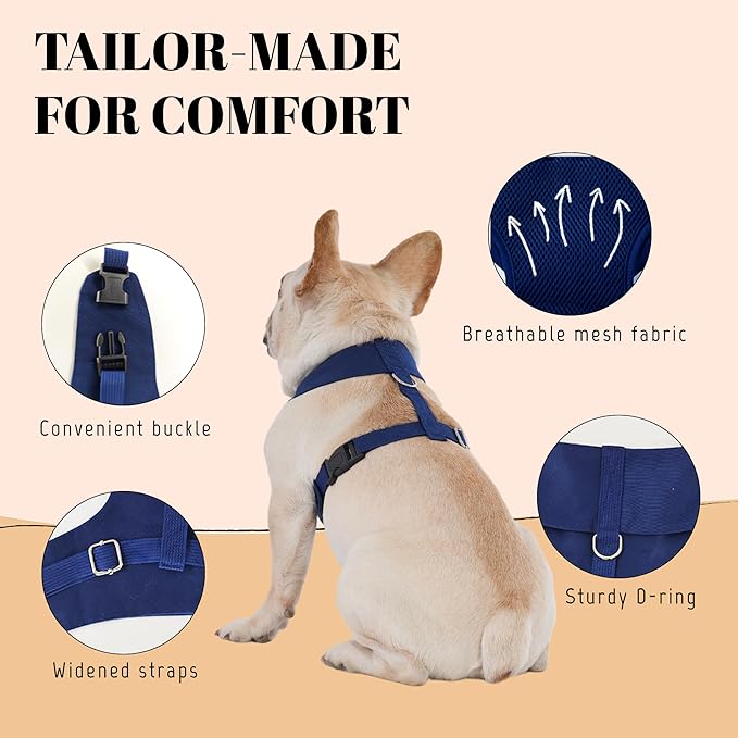 AVERYDAY XS Pet Tuxedo Harness, Wedding Costume Outfit for Small Dogs, Slim Cats and Tiny Pets with 8.3" Neck, 13-14.6" Chest, 8.5" Max Head Girth, Formal Suit Costume for Mini Breeds