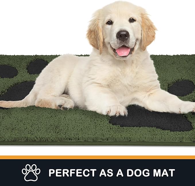 PURRUGS Dirt Trapping Door Mat 32" x 47", Non-Skid/Slip Machine Washable Microfiber Entryway Rug, Dog Doormat, Super Absorbent Welcome Mat for Muddy Wet Shoes and Paws, Green