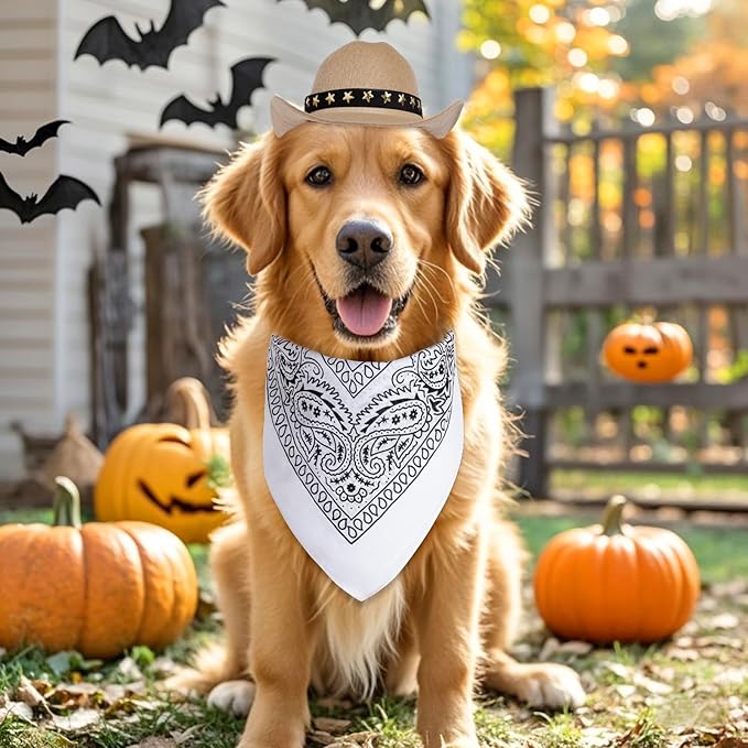 Pet Cowboy Costume Halloween Costumes for Small Pet Dogs Cat Cowboy Hat with Bandana Scarf Set Party Accessories﻿ (Khaki, Small)