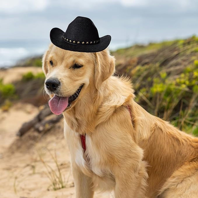 Dog Cowboy Hat Cat Cowboy Hat Pet Cowboy Costume Mini Cowboy Hat for Dogs Cat Holiday Halloween Pet Party Decoration (Black, Large)