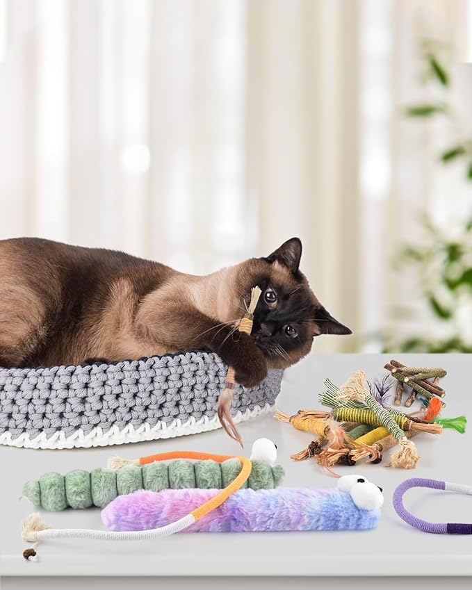 Bissap 20 PCS Silvervine Chew Sticks for Cats, Catnip Chew Ropes Cat Toys for Indoor Cat Kitten Teeth Grinding Interactive Feather Toys for Aggressive Chewers Dental Care