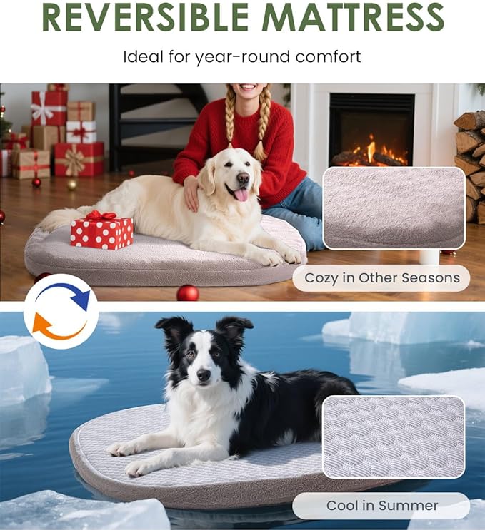 Orthopedic Dog Bed for Small Dogs, Pet Sofa Bed with Egg Crate Foam, 4-Sided Bolster, Removable Washable Cover & Anti-Slip Bottom, Small Calliste Green