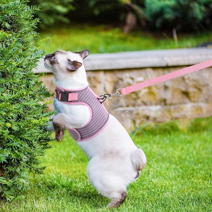 PUPTECK Soft Mesh Cat Vest Harness and Leash Set Puppy Padded Pet Harnesses Escape Proof for Cats Small Dogs Rabbits Bunny