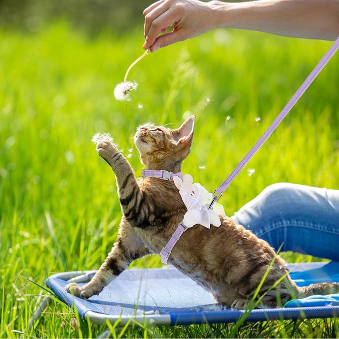 TIESOME Cat Harness and Leash Set, Adjustable Gradient Kitten Harness Escape Proof Harness with Leash for Kitty Outdoor Walking (Ribbon Bear Purple)