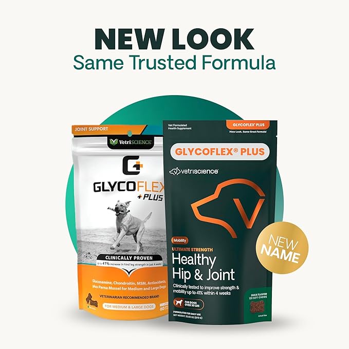 VetriScience Ultimate Strength Hip & Joint Supplement for Dogs, GlycoFlex Plus – MSM, Chondroitin & Green-Lipped Mussel Chews for Mobility, Flexibility, Comfort & Support, Duck Flavor, 120 Cnt
