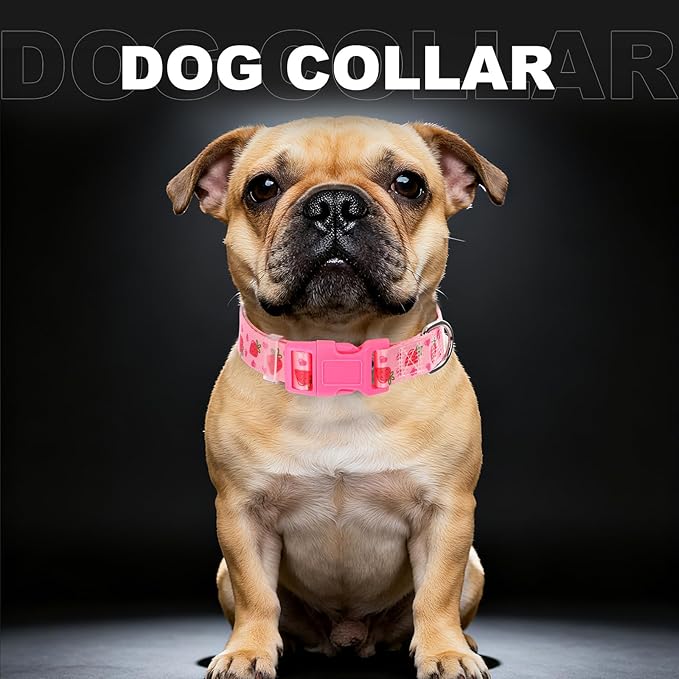 Soft Nylon Adjustable Dog Collar with Cute Strawberry Design - Pink Durable Collar for Small, Medium, Large & XL Dogs | No-Slip Comfort Fit (XL)